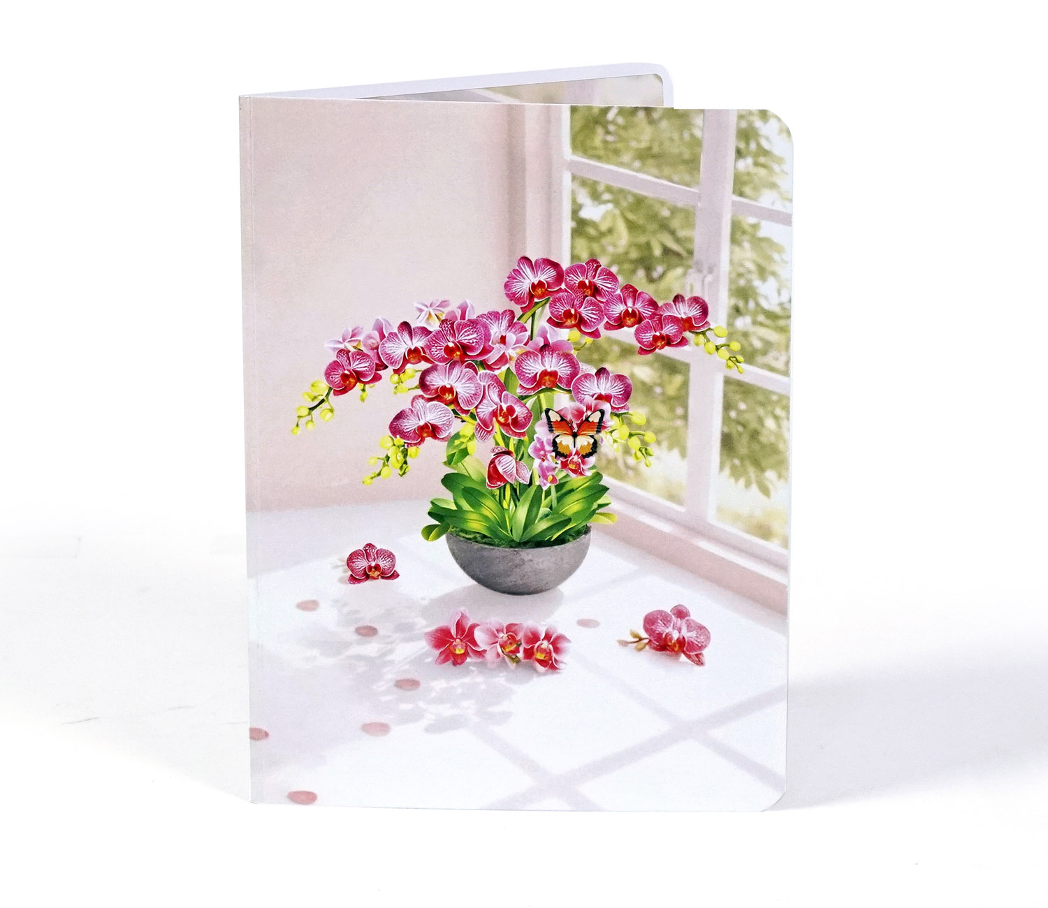 Pink-Phalaenopsis -Orchids-for-Mother’s Day-08