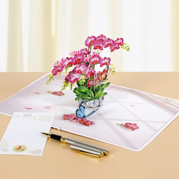 Pink-Phalaenopsis -Orchids-for-Mother’s Day-09