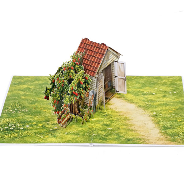 Unique-3D-Pop-Up-Card-for-Him-05